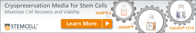 Cryopreservation Media for Stem Cells - Learn More!